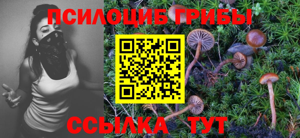 Псилоцибиновые грибы Cubensis  Вход с VPN  Галлюциногенные грибы Magic Shrooms  Борзя 